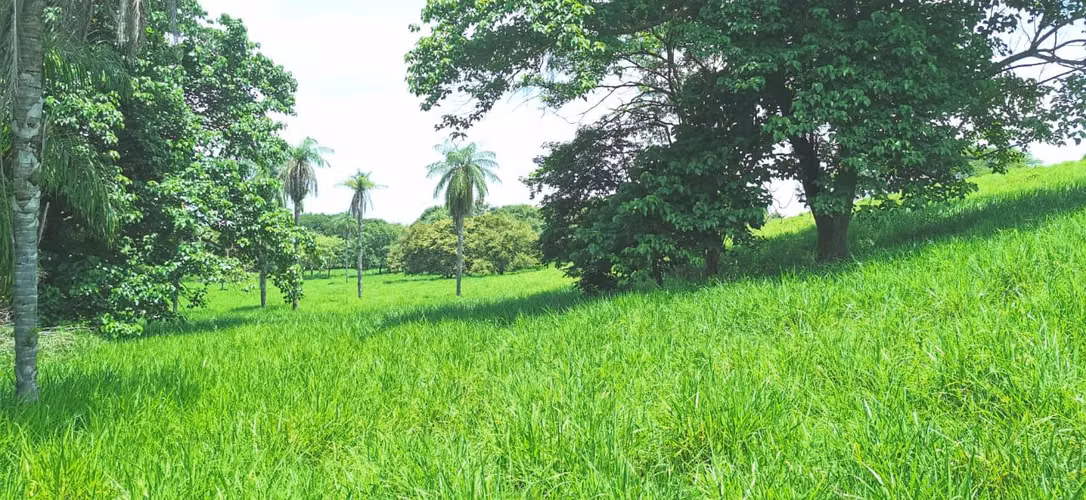 Venta de Finca en Abangares Guanacaste. ABUNDANTE AGUA