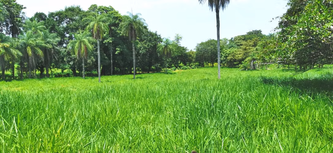 Venta de Finca en Abangares Guanacaste. ABUNDANTE AGUA