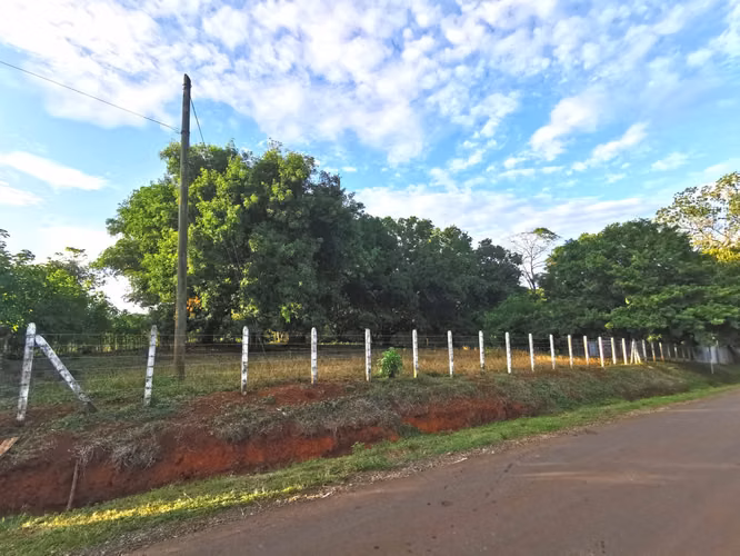 Venta de Lote en Orotina 9.644 m2 LISTO PARA CONSTRUIR. - Imagen 3