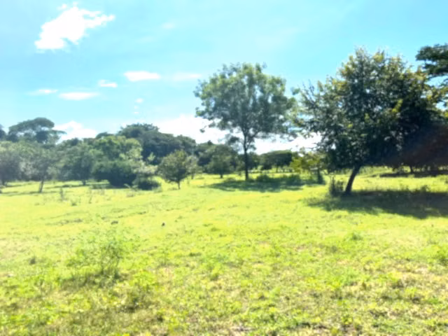 Venta finca Guanacaste Colorado Abangares FINANC - Imagen 9