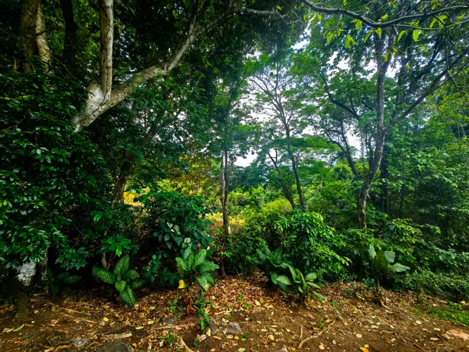 ¡Oportunidad única de inversión en zona con vista al mar!  - Imagen 5