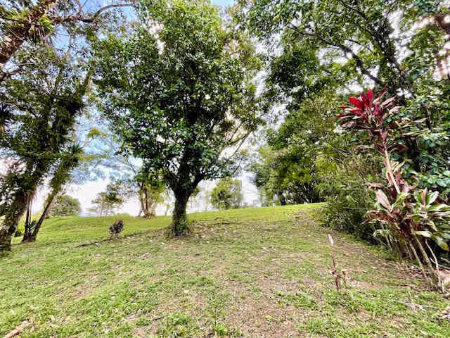 Lotes en proyecto privado con acceso frente al Lago Arenal - Imagen 6