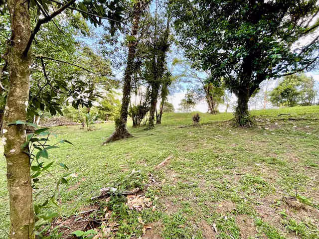 Lotes en proyecto privado con acceso frente al Lago Arenal - Imagen 7