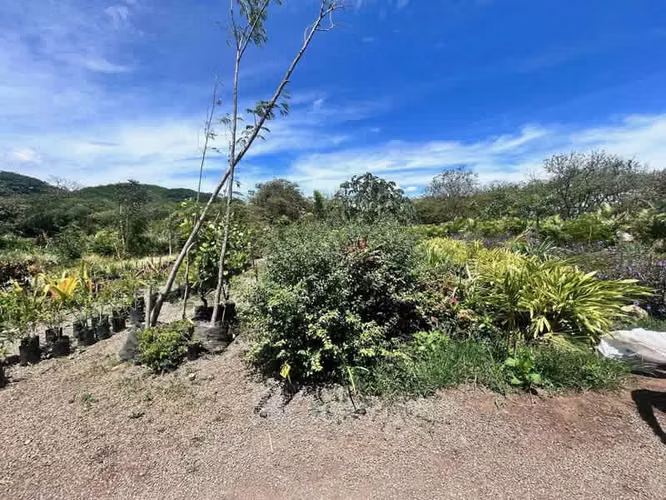 Venta, Lote Desarrollo Residencial o Comercial – Guacima Frente a Ruta 27 - 23718 - Imagen 12