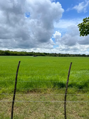 TERRENO DE 10 HECTÁREAS EN VENTA EN LIBERIA CON USO MIXTO GUANACASTE