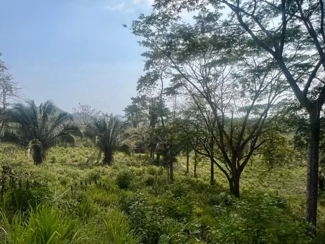 Se venden lotes en Playa Coyote - Imagen 2