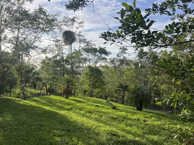 ¡Oportunidad única! Se vende lote de 1,000 m² en Florencia