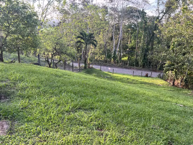 ¡Oportunidad única! Se vende lote de 1,000 m² en Florencia