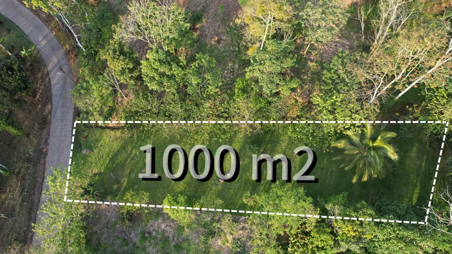 ¡Oportunidad única! Se vende lote de 1,000 m² en Florencia