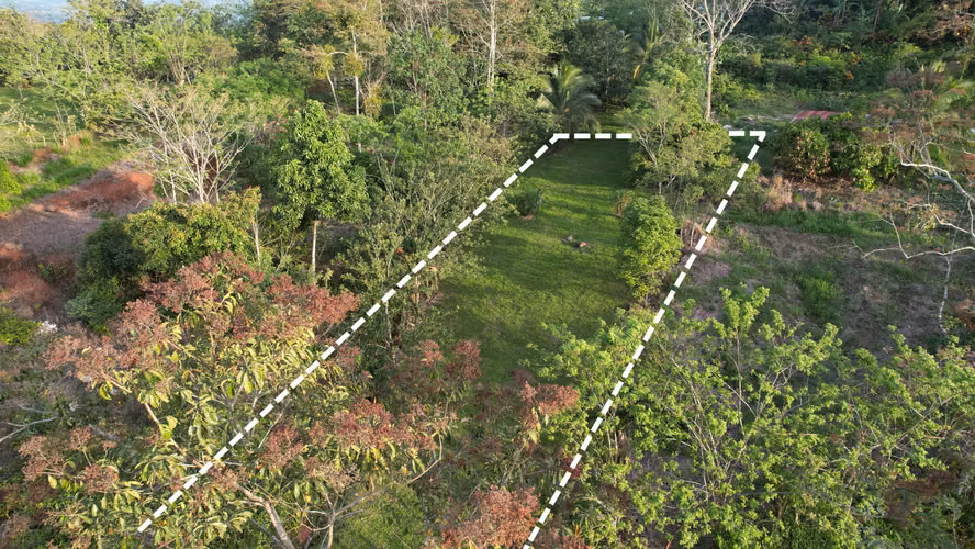 ¡Oportunidad única! Se vende lote de 1,000 m² en Florencia