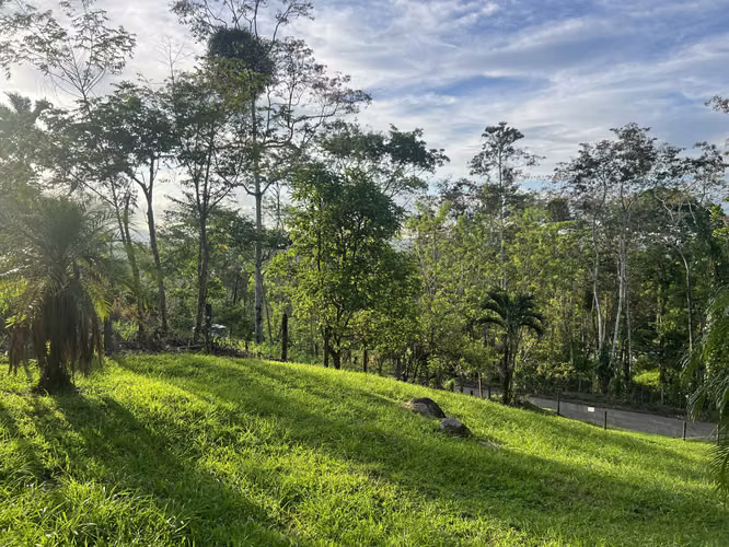 ¡Oportunidad única! Se vende lote de 1,000 m² en Florencia