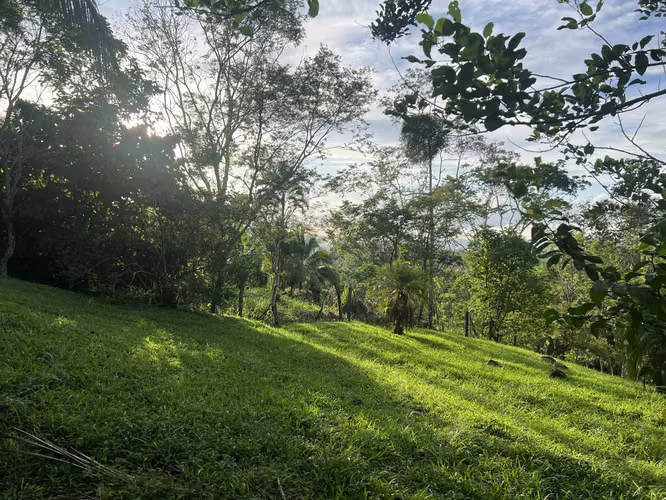 ¡Oportunidad única! Se vende lote de 1,000 m² en Florencia