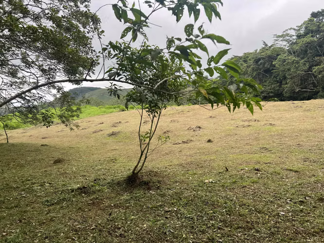 Lote de 3000 m² en Ciudad Quesada de San Carlos
