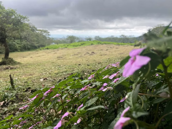Lote de 3000 m² en Ciudad Quesada de San Carlos