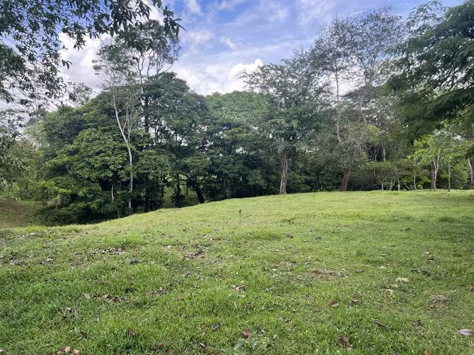 Excellent Investment Opportunity in San Jorge de Cutris, San Carlos!