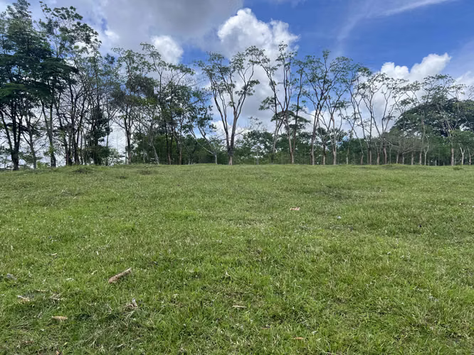 ¡Gran oportunidad de inversión en San Jorge de Cutris, San Carlos! 