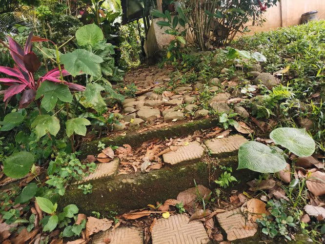 Casa en venta en Florencia, San Carlos, cerca de La Fortuna con riachuelo al frente - Imagen 2