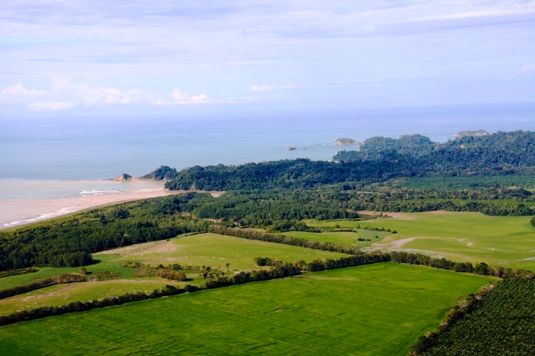 Se vende lotes en Condominio Lomas del Rey Quepos