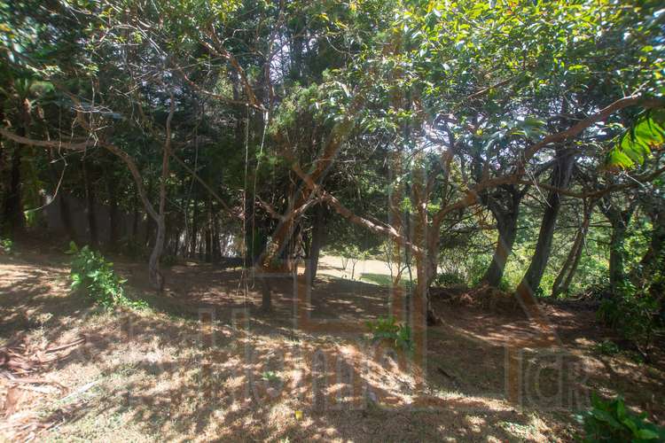 2023 / Venta / Lote / Heredia / San Rafael / 3218 mts / Vista Montaña - Imagen 7