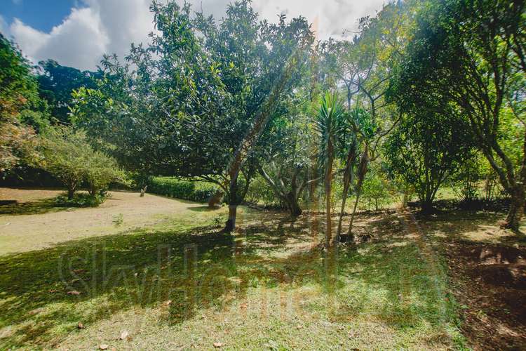 2023 / Venta / Lote / Heredia / San Rafael / 3218 mts / Vista Montaña - Imagen 14