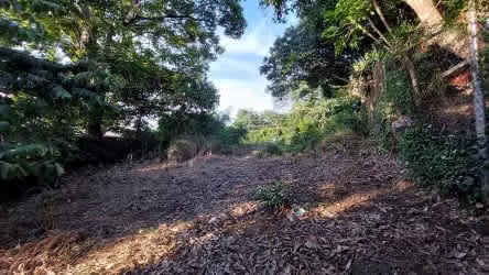 Lote en venta Santa Ana piedades (Alta densidad)