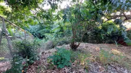 Lote en venta Santa Ana piedades (Alta densidad)