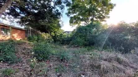 Lote en venta Santa Ana piedades (Alta densidad)