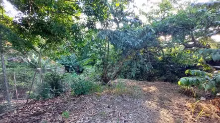 Lote en venta Santa Ana piedades (Alta densidad)