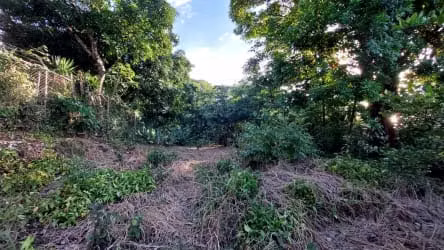Lote en venta Santa Ana piedades (Alta densidad)