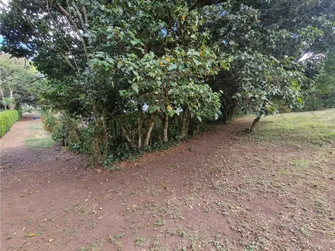Venta Lotes Santa Elena Monteverde - Imagen 6