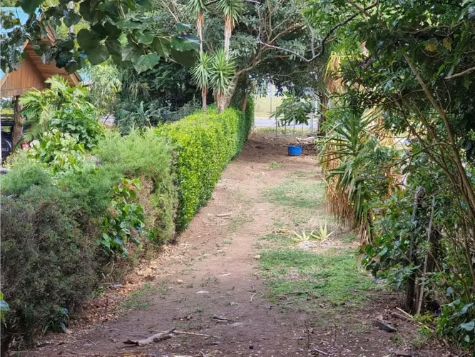 Venta Lotes Santa Elena Monteverde - Imagen 4