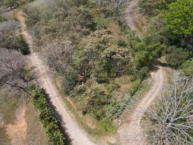 VENTA Lote de 5632m2 en Turrubares - Imagen 11