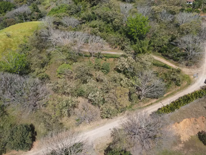 VENTA Lote de 5632m2 en Turrubares - Imagen 14