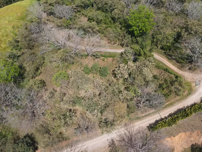 VENTA Lote de 5632m2 en Turrubares - Imagen 15