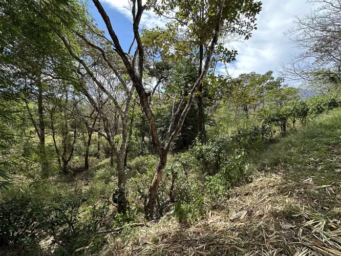 VENTA Lote de 5632m2 en Turrubares - Imagen 9