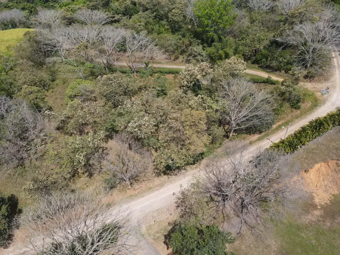VENTA Lote de 5632m2 en Turrubares - Imagen 13