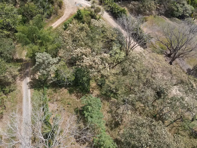 VENTA Lote de 5632m2 en Turrubares - Imagen 12