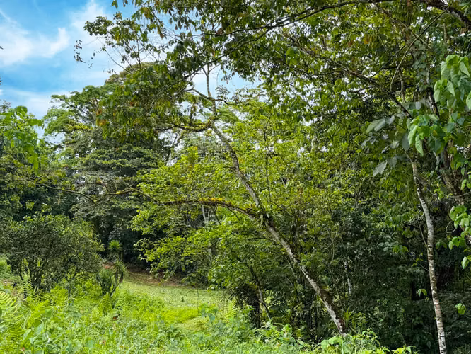 Se vende Terreno en San Antonio de Garabito, Puntarenas (MV). - Imagen 17
