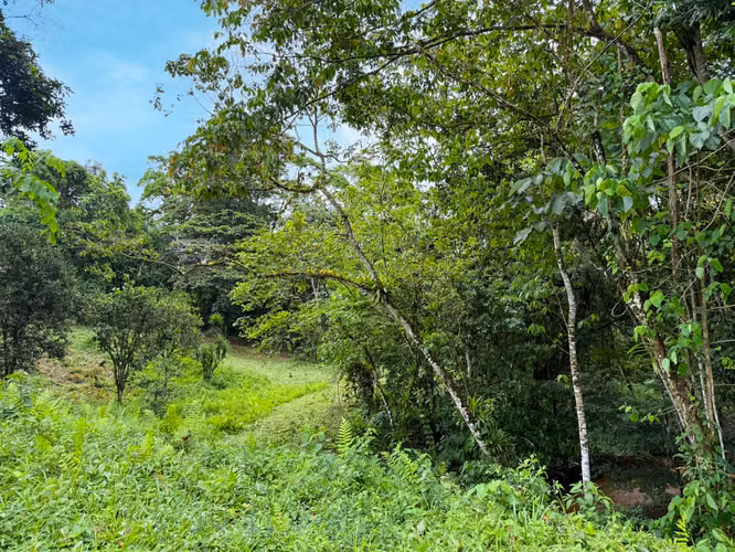 Se vende Terreno en San Antonio de Garabito, Puntarenas (MV). - Imagen 16