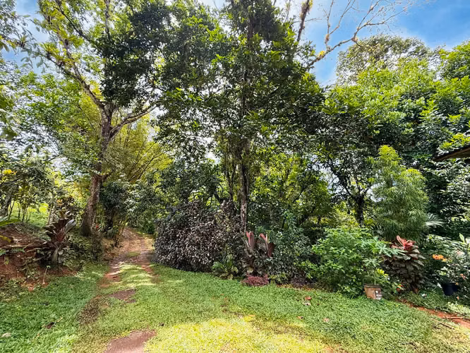 Se vende Terreno en San Antonio de Garabito, Puntarenas (MV). - Imagen 7
