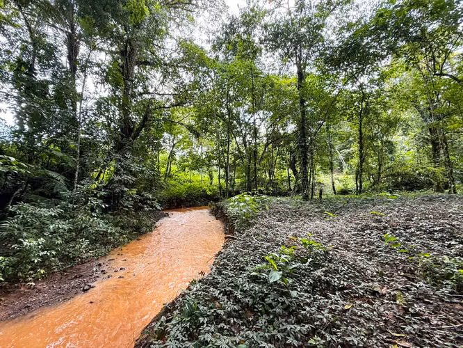 Se vende Terreno en San Antonio de Garabito, Puntarenas (MV). - Imagen 14