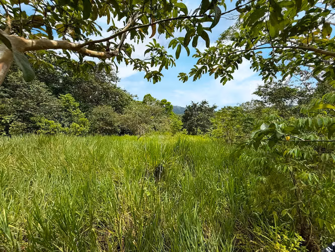 Se vende Terreno en San Antonio de Garabito, Puntarenas (MV). - Imagen 10