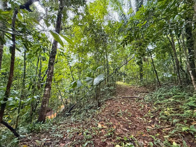 Se vende Terreno en San Antonio de Garabito, Puntarenas (MV). - Imagen 8