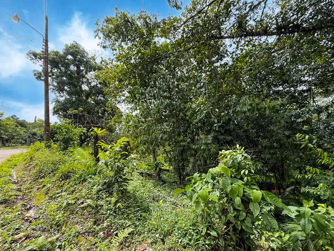 Se vende Terreno en San Antonio de Garabito, Puntarenas (MV). - Imagen 15