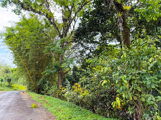 Se vende Terreno en San Antonio de Garabito, Puntarenas (MV). - Imagen 5