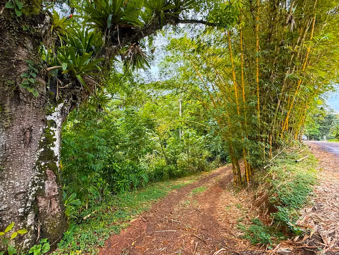 Se vende Terreno en San Antonio de Garabito, Puntarenas (MV). - Imagen 18