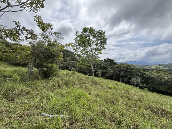 4,5 Hectareas / Se Recibe  / Naciente / Vista Al Mar /  Cerca De 27 - Imagen 3