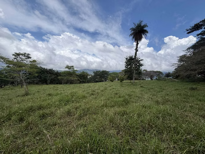 4,5 Hectareas / Se Recibe  / Naciente / Vista Al Mar /  Cerca De 27 - Imagen 18