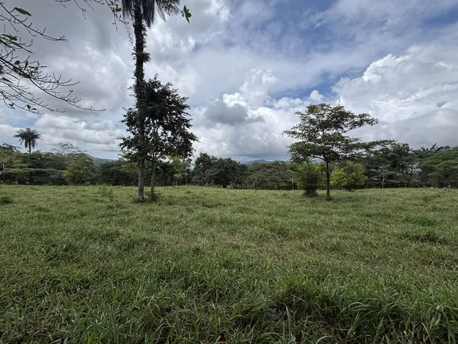 4,5 Hectareas / Se Recibe  / Naciente / Vista Al Mar /  Cerca De 27 - Imagen 12