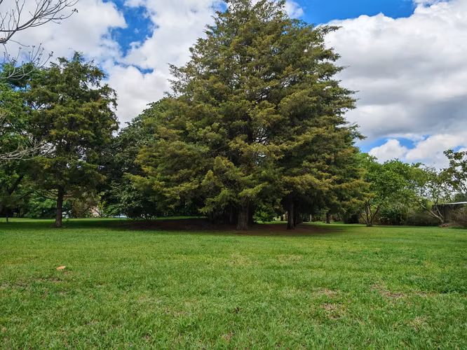 SE VENDE HERMOSOS LOTES EN SAN JOAQUIN DE HEREDIA